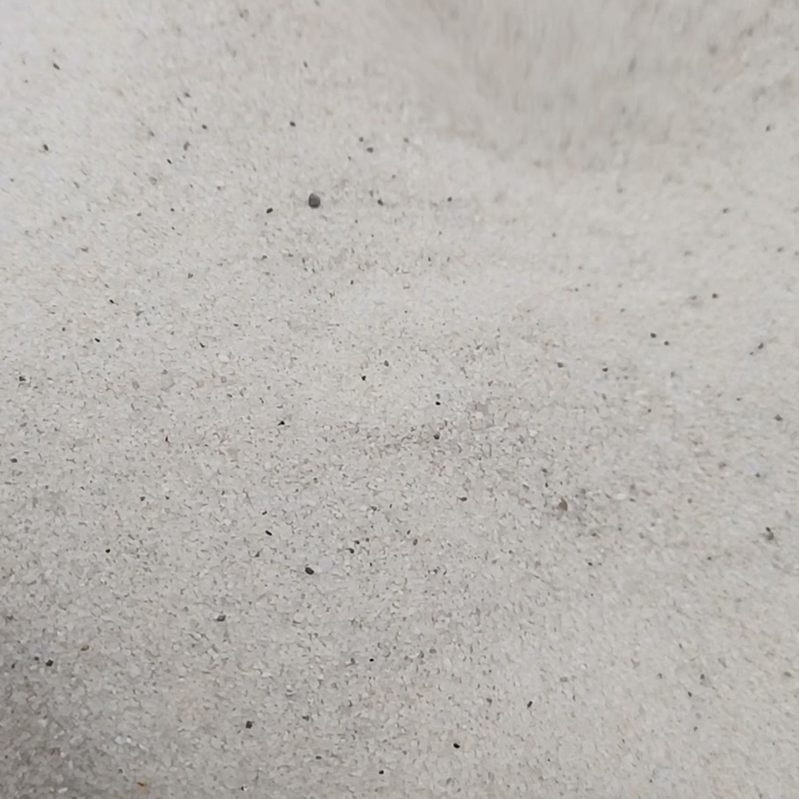 Detail einer leicht gewellten Sandfläche mit dunklen Einzelkörnern – Quarzsand Naturweiß für das Aquarium, 0,1–0,4 mm, 25 kg.