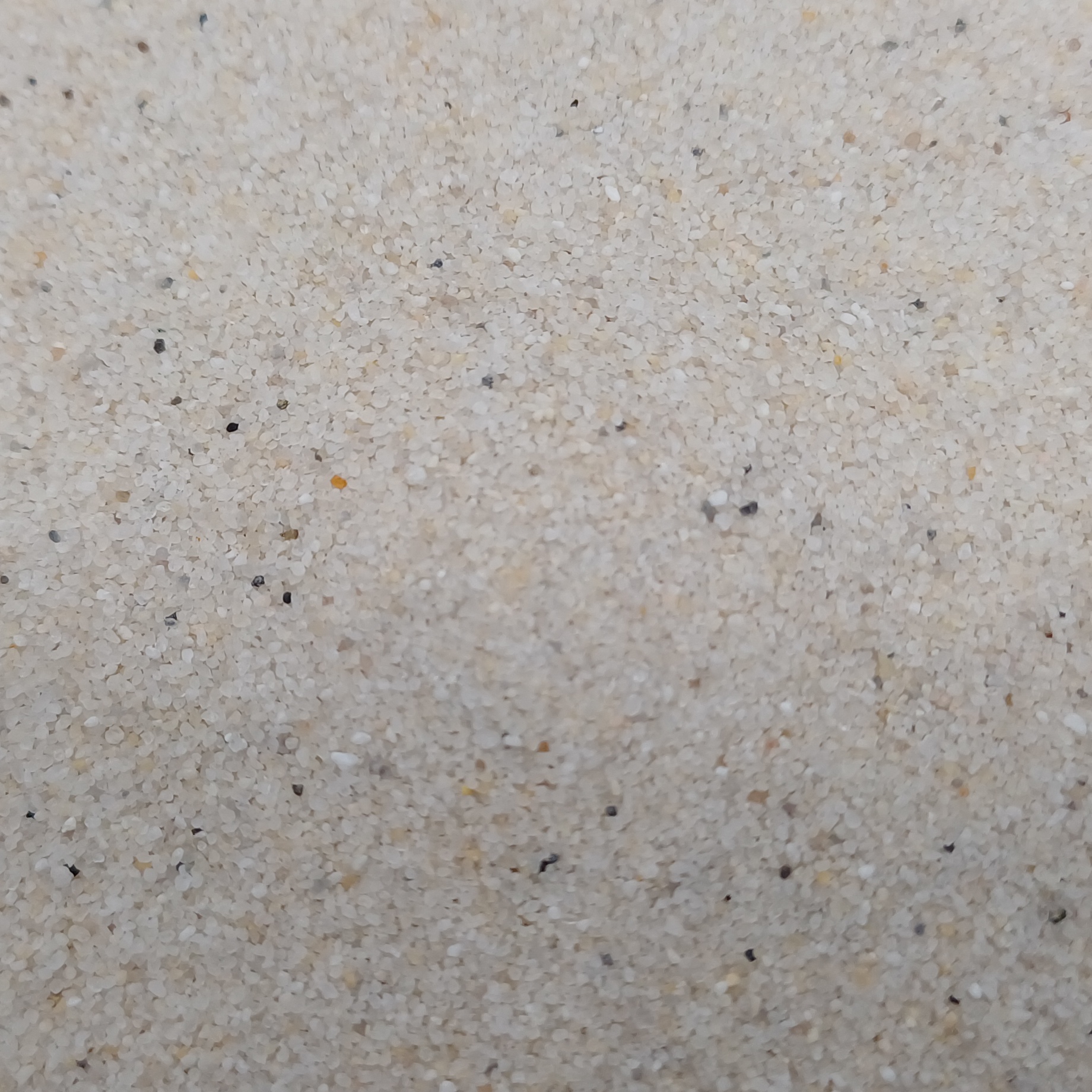 Vogelsand Naturweiß, 0,2–0,5 mm, 20 kg: Übersicht der hellen Sandoberfläche.