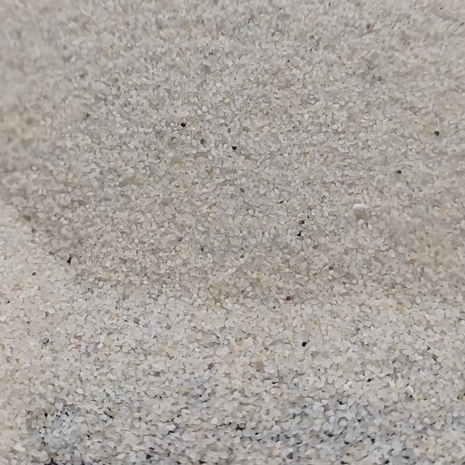 Vogelsand Naturweiß, 0,2–0,5 mm, 20 kg: Kornstruktur mit kleiner Mulde.