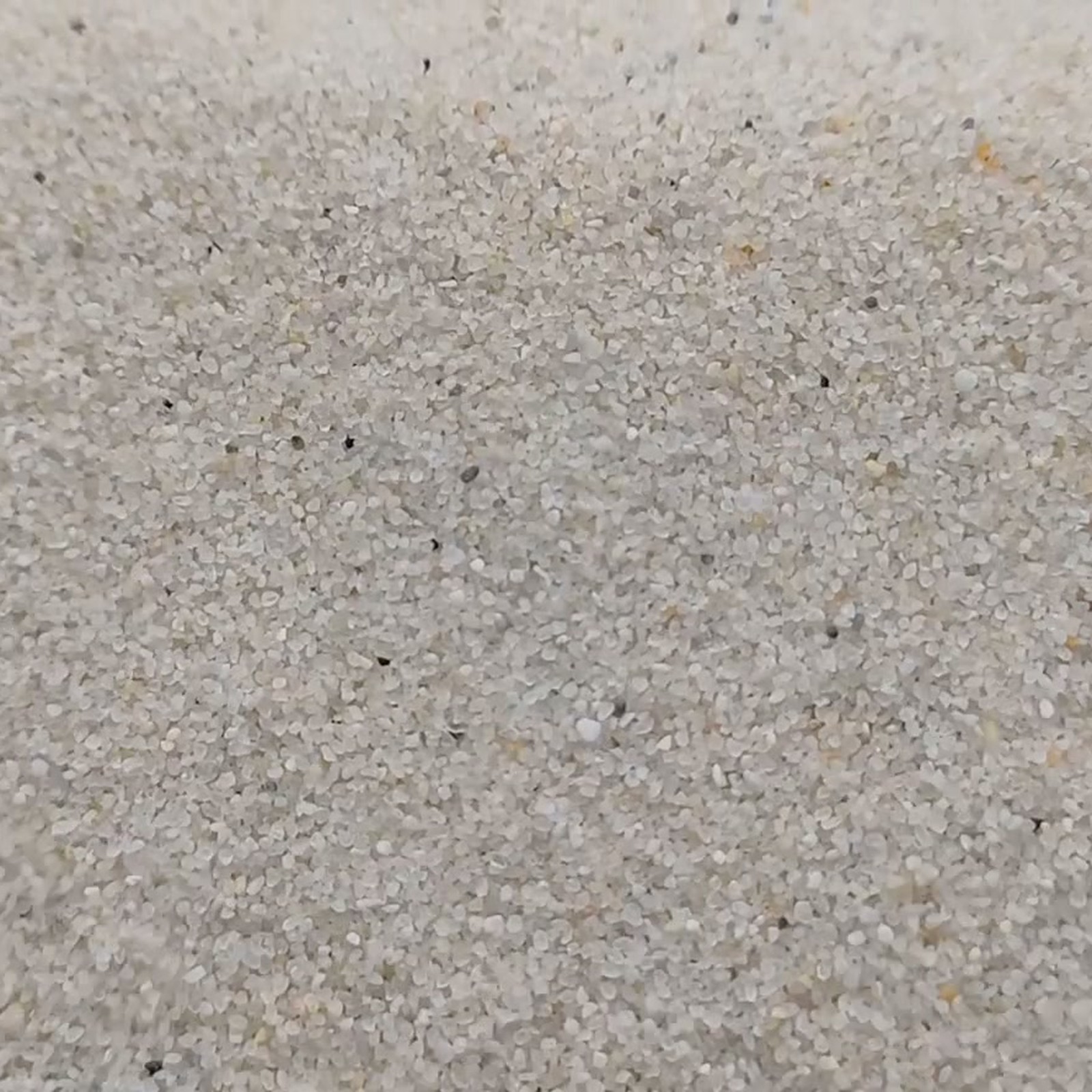 Vogelsand Naturweiß, 0,2–0,5 mm, 20 kg: Dicht liegende helle Sandkörner.
