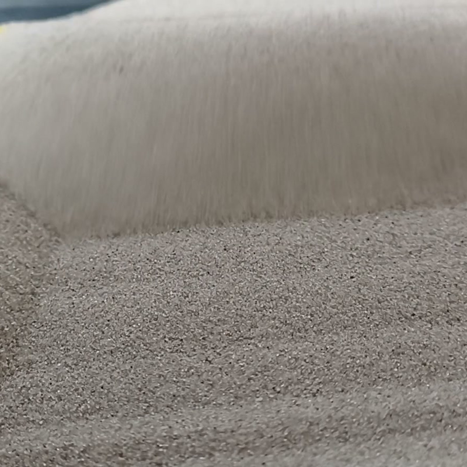 Terrariumsand Naturgrau, 0,1–0,4 mm, 25 kg: Geschwungener Übergang am Sandrücken.