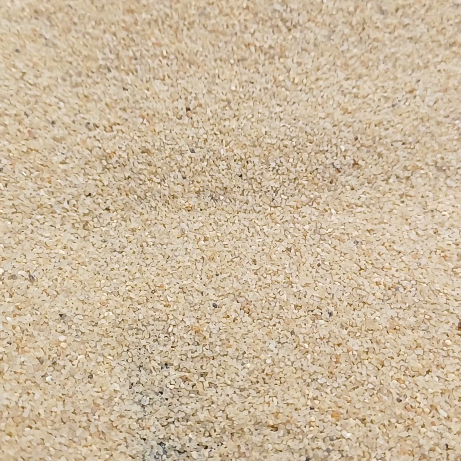 Aquariumsand Naturbeige, 0,2–0,7 mm, 10 kg: Beige Kornfläche mit flacher Vertiefung.
