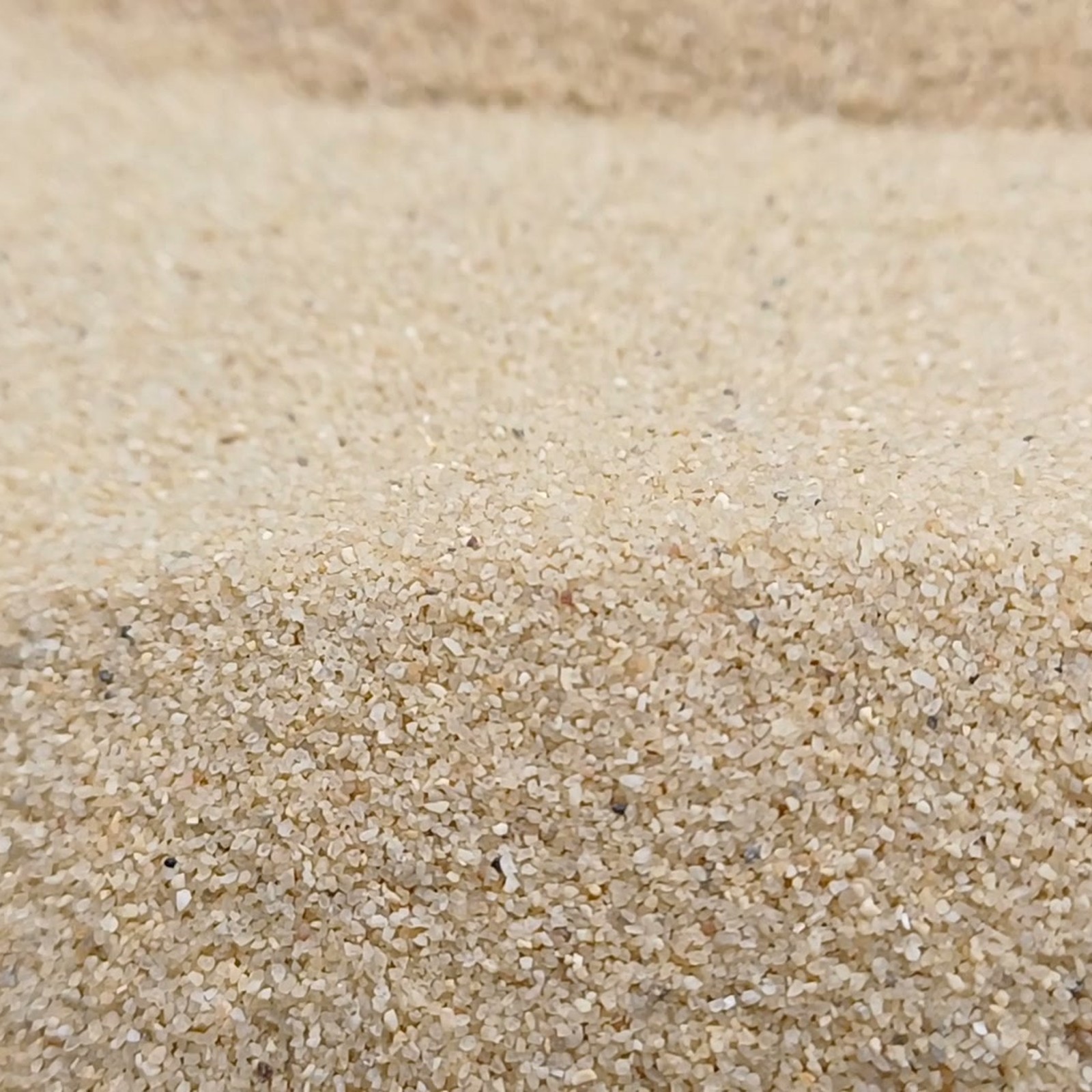 Aquariumsand Naturbeige, 0,2–0,7 mm, 10 kg: Erhöhter vorderer Sandrücken.