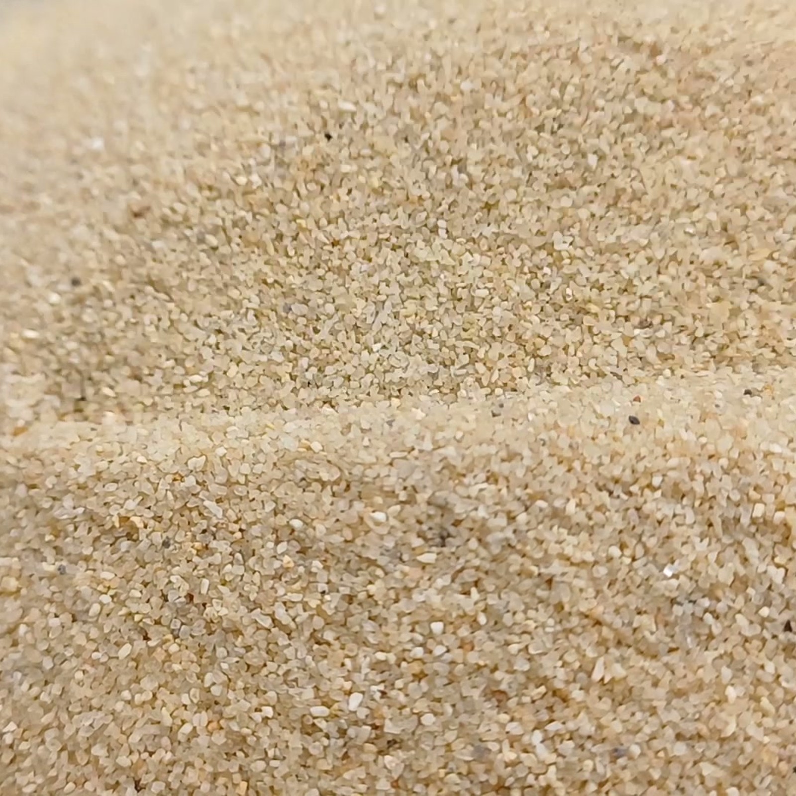 Aquariumsand Naturbeige, 0,2–0,7 mm, 10 kg: Dicht liegende Körner auf einer gewellten Fläche.