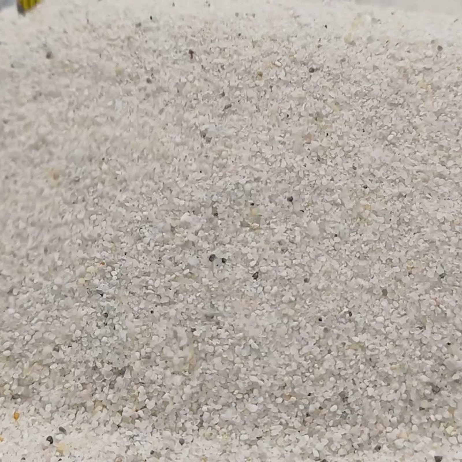 Vogelsand Naturweiß, 0,2–0,8 mm, 14 kg: Dicht liegende helle Sandkörner in Nahaufnahme.