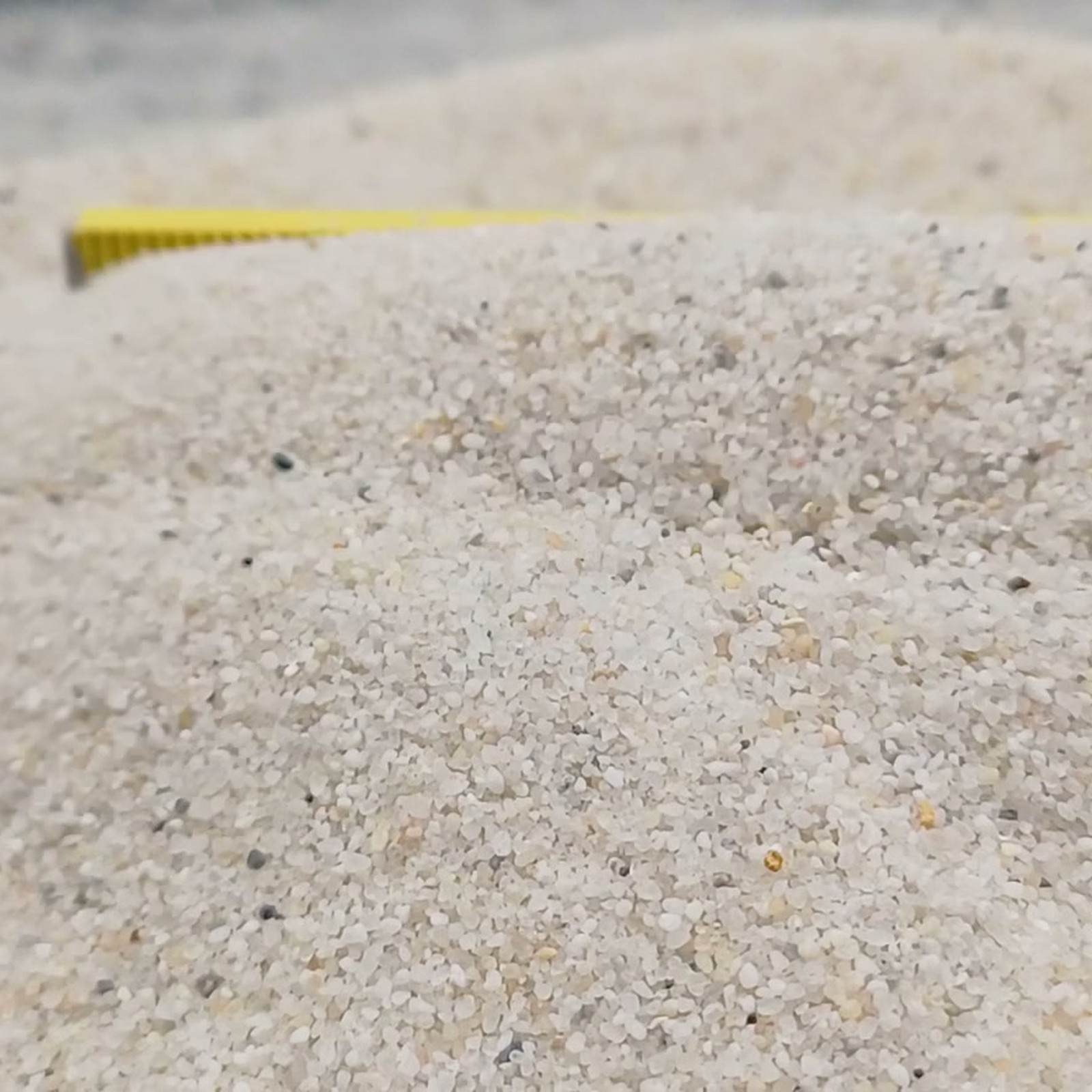 Vogelsand Naturweiß, 0,2–0,8 mm, 14 kg: Heller Sandrücken mit Maßstab am hinteren Rand.