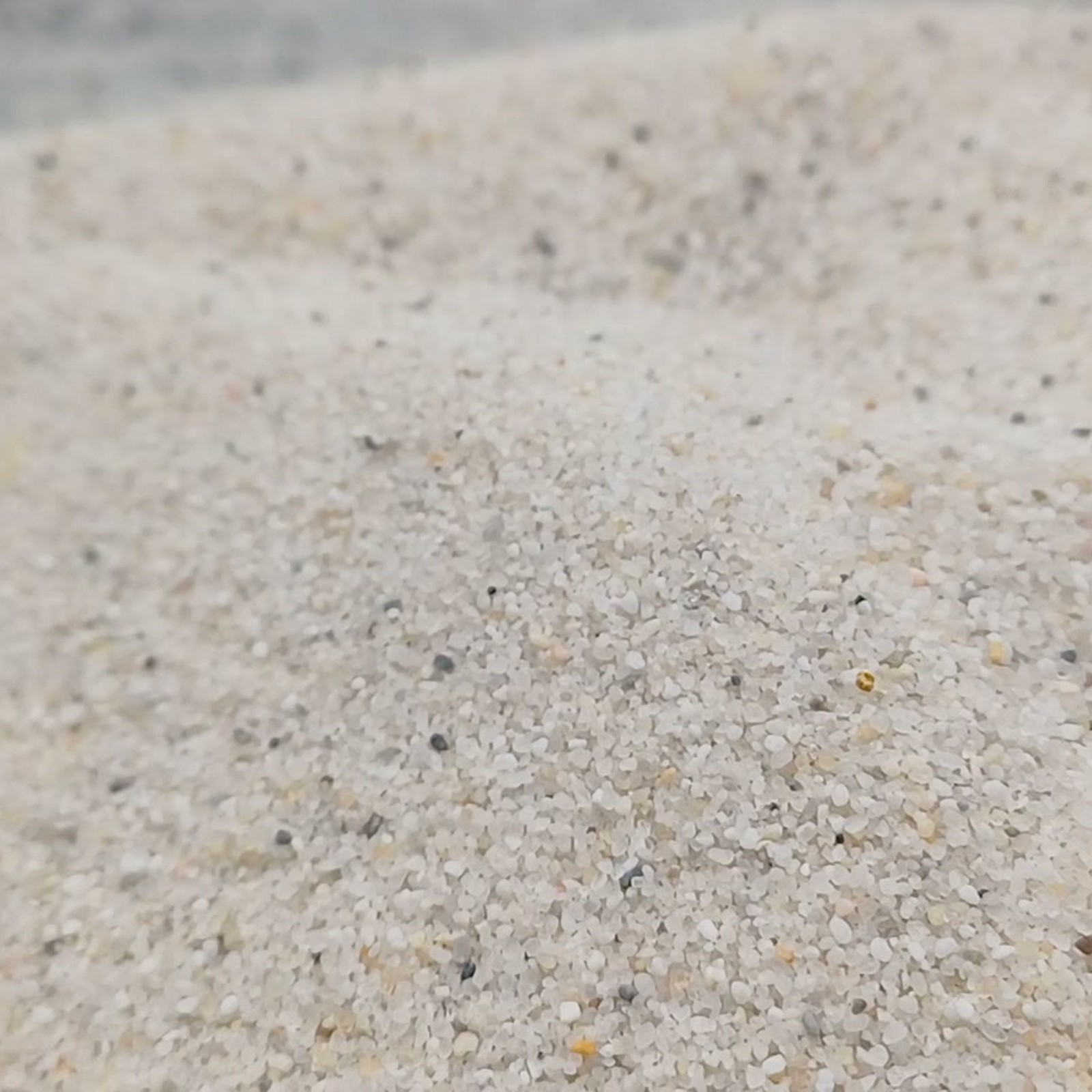 Vogelsand Naturweiß, 0,2–0,8 mm, 14 kg: Leicht gewellte Kornfläche.