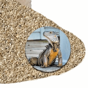 Terrariensand 14 kg Terrariumsand 0,45-0,85mm naturbeige Bodengrund Sand