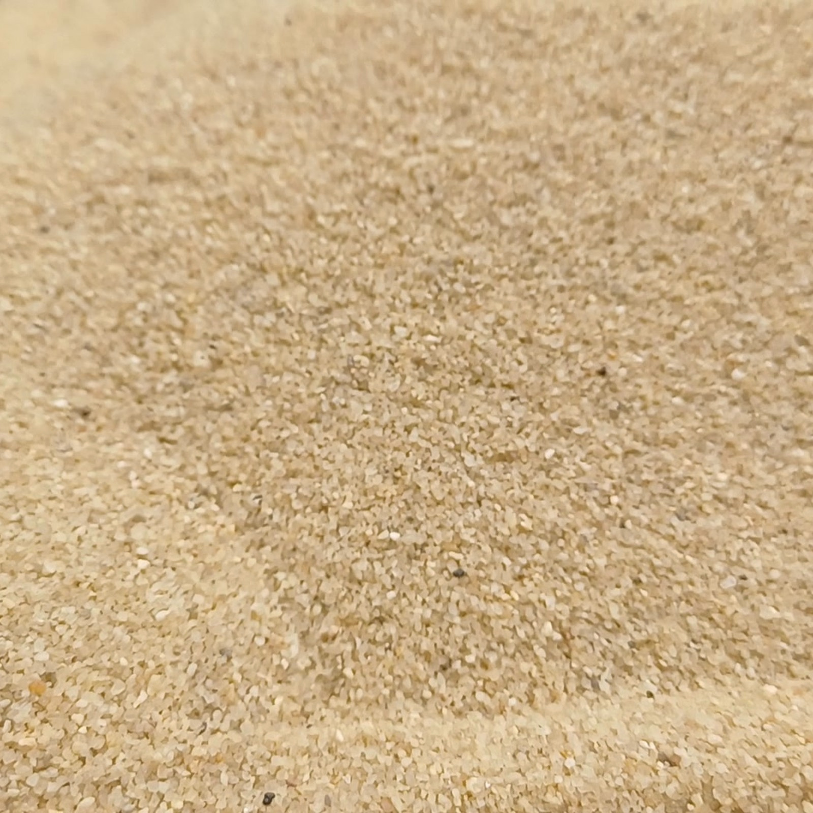 Aquariumsand Naturbeige, 0,1–0,6 mm, 25 kg: Zusätzliche Nahaufnahme der beigen Kornstruktur.