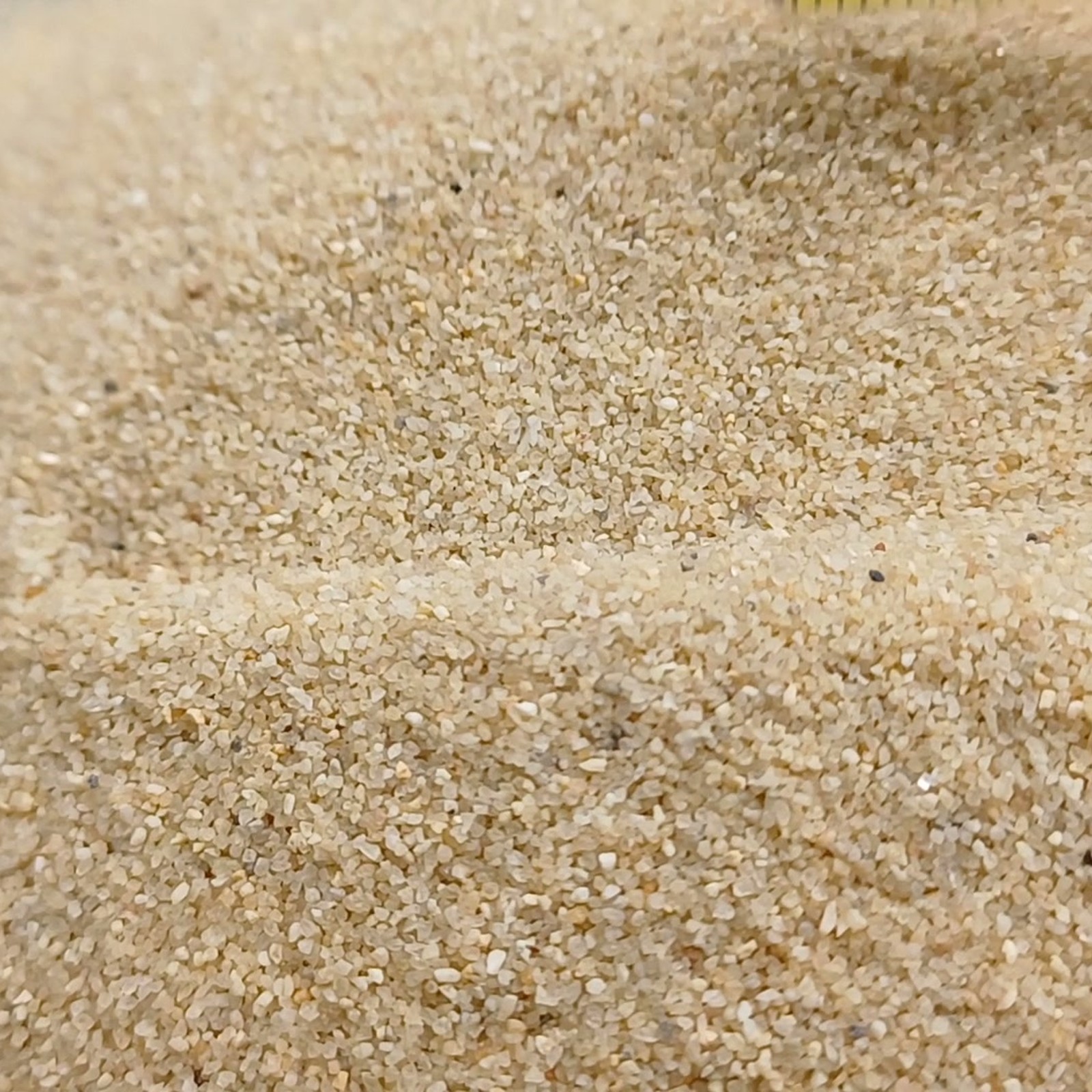 Rasensand Naturbeige, 0,2–0,7 mm, 25 kg: Kornstruktur einer geschwungenen Sandmulde.