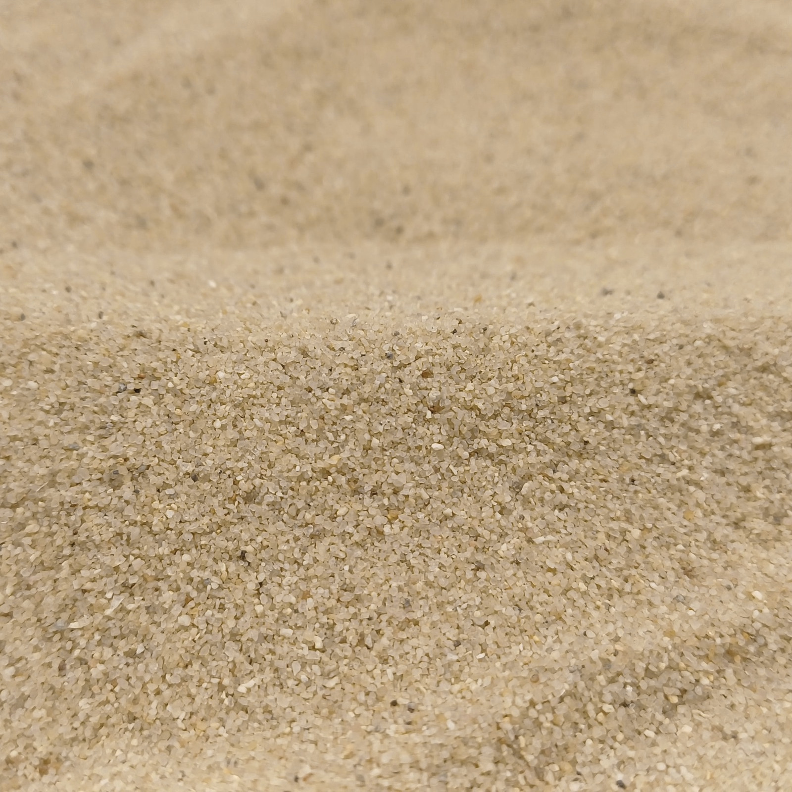 Terrariumsand Naturbeige, 0,3–0,6 mm, 25 kg: Breiter Sandrücken mit feinen Körnern.