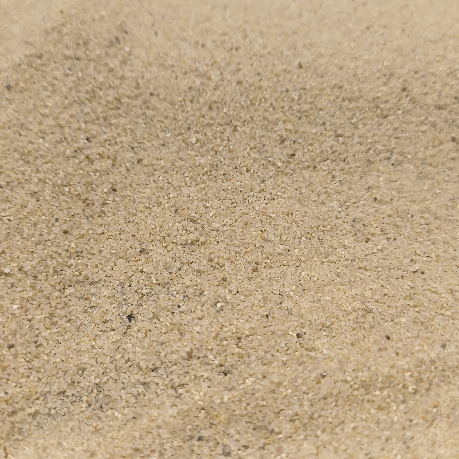 Terrariumsand Naturbeige, 0,3–0,6 mm, 25 kg: Kleine Vertiefung in einer beigen Kornfläche.