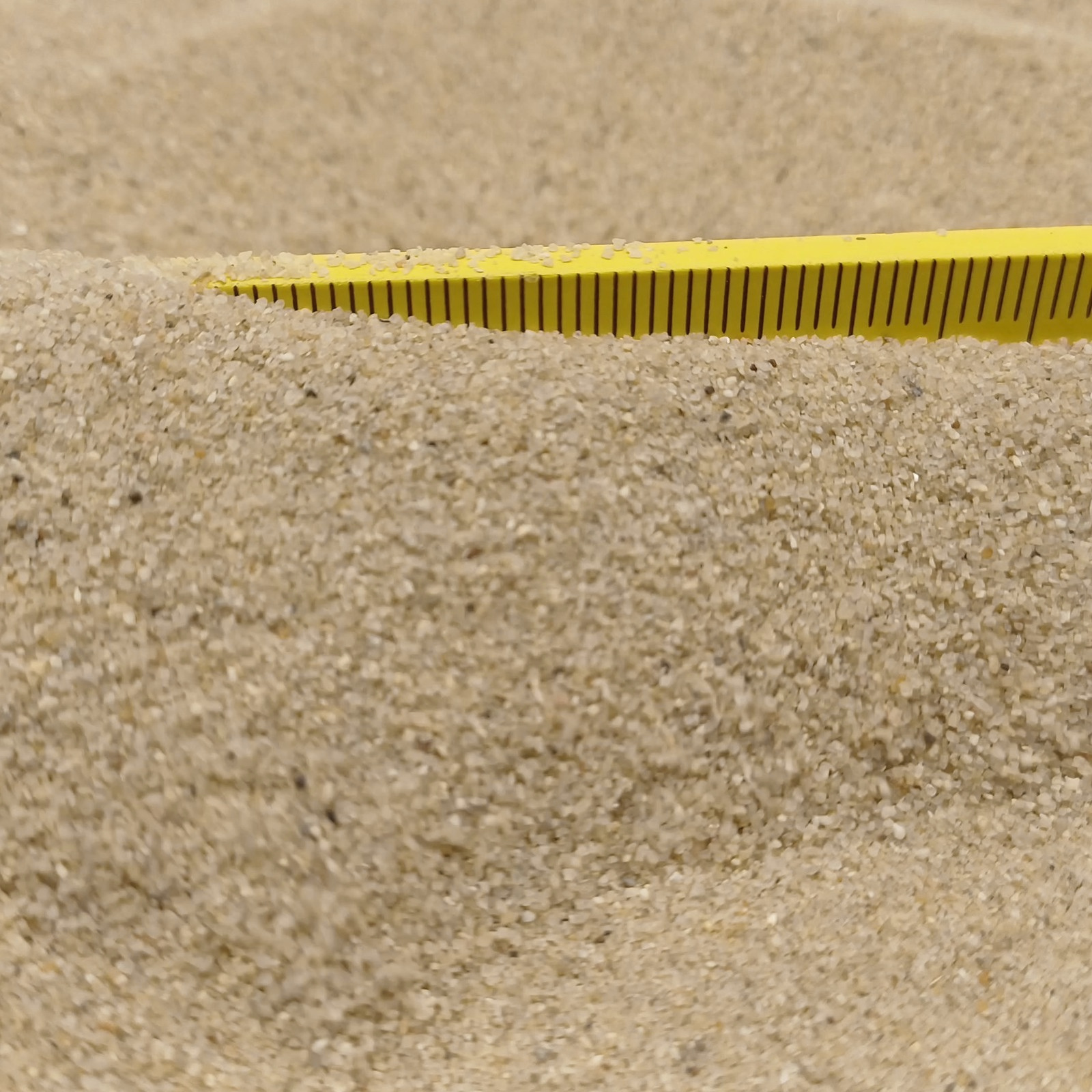 Terrariumsand Naturbeige, 0,3–0,6 mm, 25 kg: Nahaufnahme eines erhöhten Sandrückens.