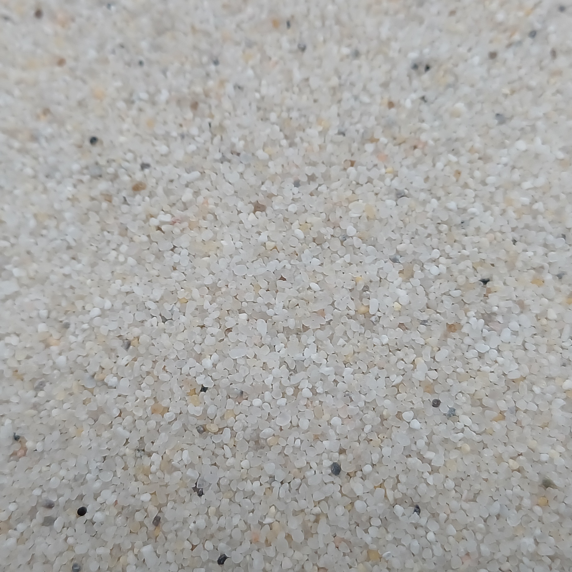Aquariumsand naturweiß 0,4–0,8 mm, 25 kg – echte Nahaufnahme der Kornstruktur.