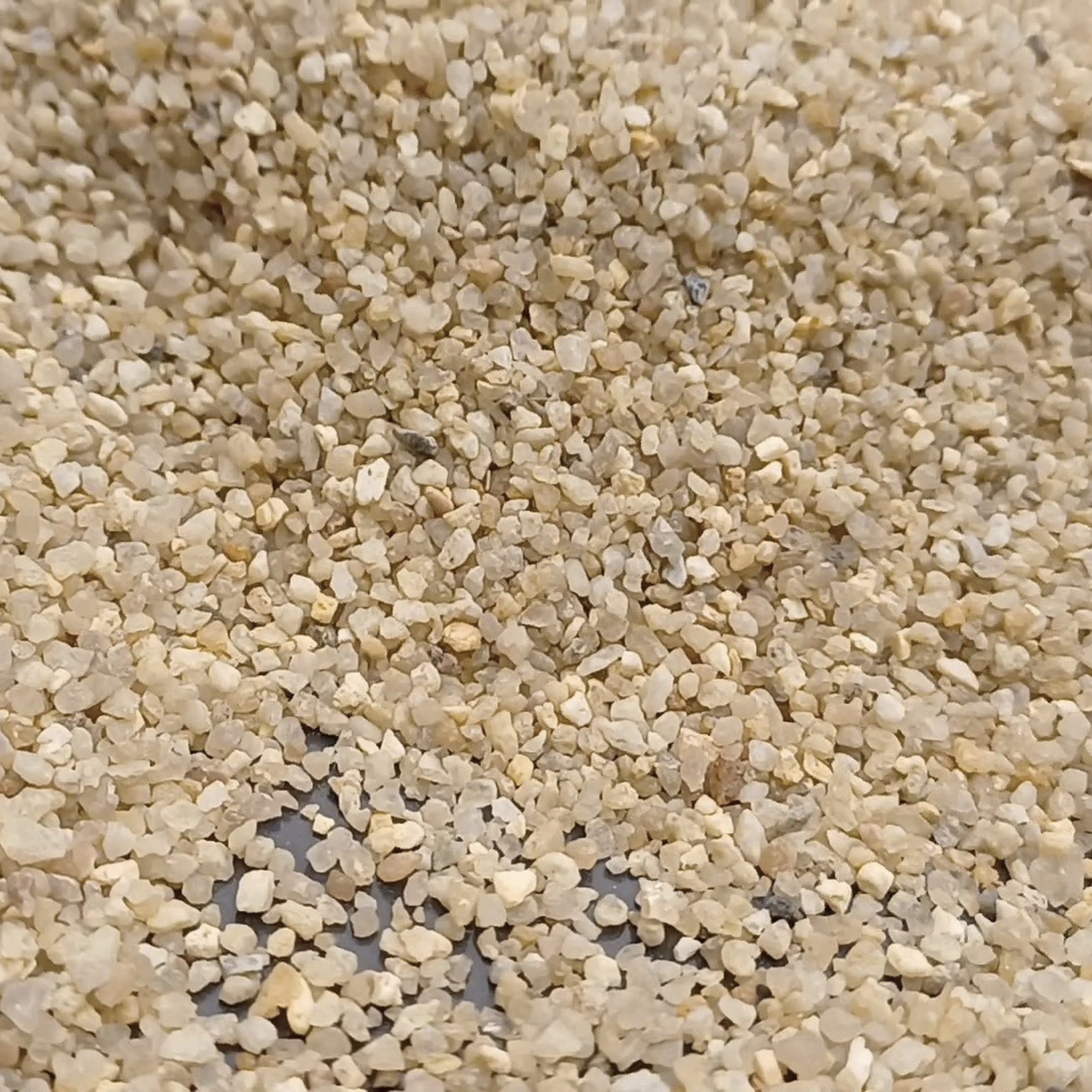 Rasensand aus Quarzsand Naturbeige, Körnung 0,5–1,6 mm, 25 kg – Nahaufnahme der Kornstruktur.