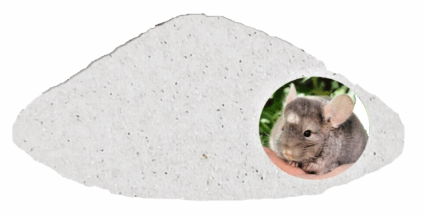 15 kg Chinchilla Badesand Chinchillasand Samtweich 0,1-0,3 mm Mäuse Ratten – Bild 5