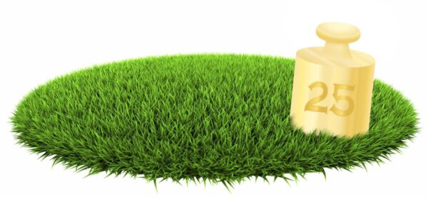 Premium Rasensand 05 16 mm 25kg gewaschener Quarzsand Gartensand Besandung 145152420320
