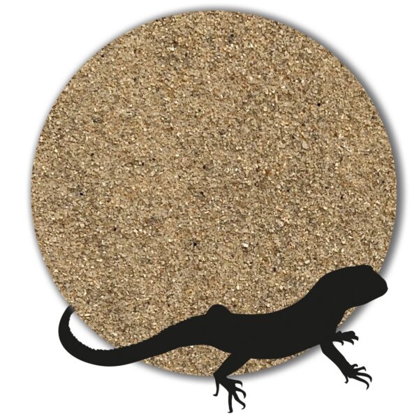 Variante von Terrarienkies Kies Bodengrund naturhell grau beige 1 25kg gewaschen 20 40mm 146241925992 0e8f