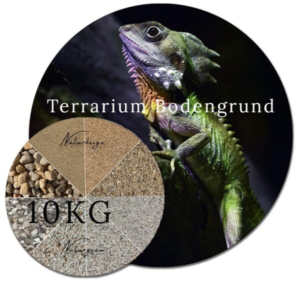 Variante von Terrariumsand Terrariensand 10 kg Terrarienkies Terrarium Bodengrund Maeuse Sand 145178689972 4b15