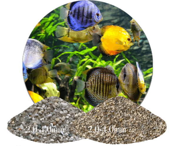 Aquariumkies Aquariumsand Bodengrund Farbauswahl 1 25kg gewaschen 20 40mm 146225413043