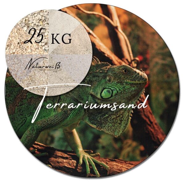 Terrariumsand weiss 25 kg Terrariensand Bodengrund kantengerundet feuergetrocknet 145173520333