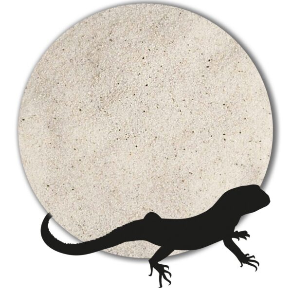 Variante von Terrariensand Bodengrund naturhell grau beige weiss 1 25kg gewaschen 01 03mm 146242073854 4fa0