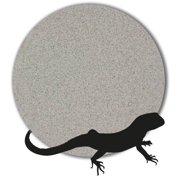 Variante von Terrariensand Bodengrund naturhell grau beige weiss 1 25kg gewaschen 01 03mm 146242073854 c39d