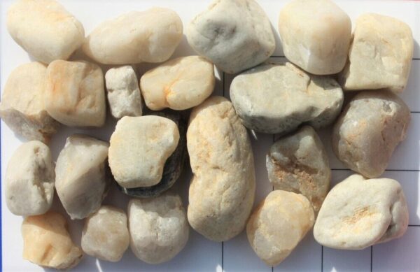 Variante von Aquariumkies Aquarienkies Kiesel beige 25 kg Aquarium Bodengrund Naturkies Kies 146300175445 43b3