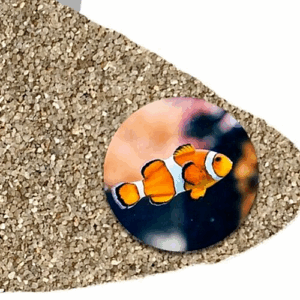 Aquariumsand Aquariumkies 04 08 mm Aquariensand Aquarienkies 14 kg Quarzsand 146590832586