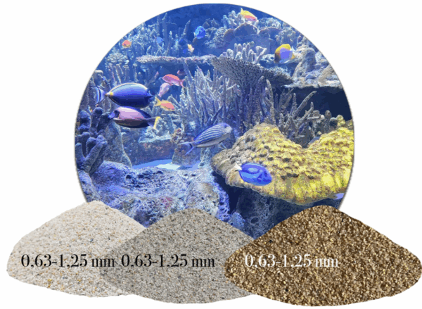 Aquariumsand Bodengrund naturhell grau beige weiss 1 25kg gewaschen 063 125mm 146228366426