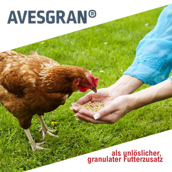 Avesgran 5kg Magenkies Magengrit Magenkiesel 5kg Gefluegelpuder Huehnereinstreu 146133481906 4