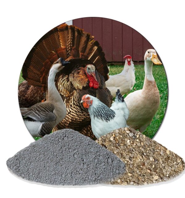 Avesgran 5kg Magenkies Magengrit Magenkiesel 5kg Gefluegelpuder Huehnereinstreu 146133481906
