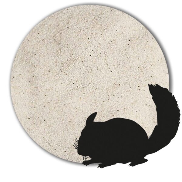Variante von Chinchillasand natur grau weiss beige sehr fein Badesand hocherhitzt samtweich 146112954196 1b07
