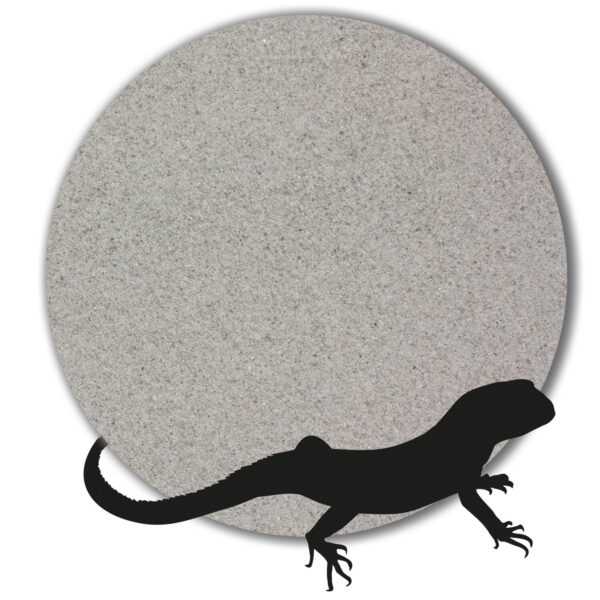Variante von Terrariensand Bodengrund naturhell grau beige weiss 1 25kg gewaschen 01 04mm 146228411836 e11f