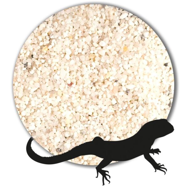 Variante von Terrariensand Bodengrund naturhell grau beige weiss 1 25kg gewaschen 071 125mm 146241955286 30ec