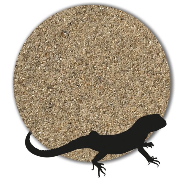 Variante von Terrariumsand Bodengrund naturhell grau beige weiss 1 25kg gewaschen 10 20mm 146241923466 1fad