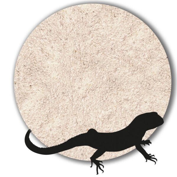 Variante von Terrariumsand Bodengrund naturhell grau beige weiss 1 25kg gewaschen 10 20mm 146241923466 868b