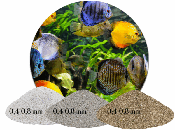 Aquariumsand Aquariensand natur hell grau beige weiss 1 25kg gewaschen 04 08mm 146148492377