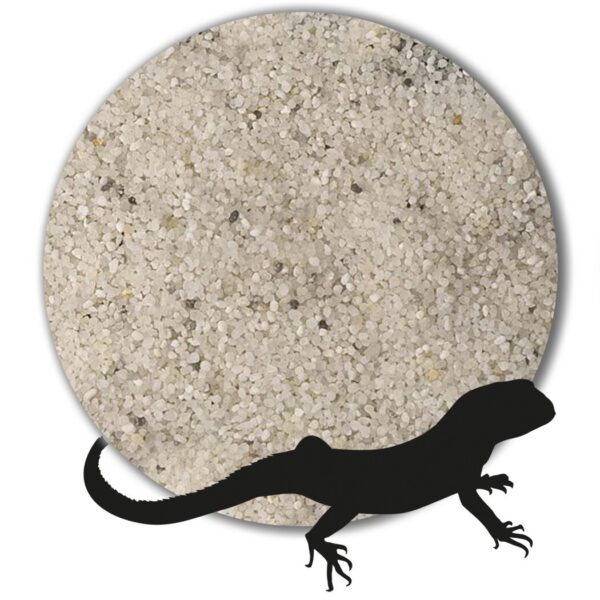 Variante von Terrariensand Bodengrund naturhell grau beige weiss 1 25kg gewaschen 05 10mm 146241917367 dc90