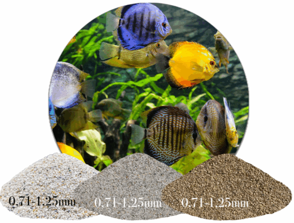 Aquariumsand Bodengrund naturhell grau beige weiss 1 25kg gewaschen 071 125mm 146225193018
