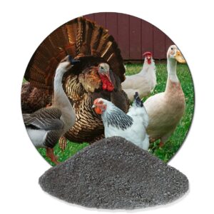 25 kg Staubbad für Geflügel  Milbenstop  Kieselgur Alternative 100 % natürlich